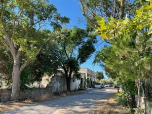 una calle con árboles al lado de una carretera en Stefania Guest House, en Giba