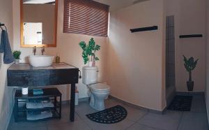 uma casa de banho com um WC, um lavatório e um chuveiro em Droëdap Guest Farm em Springbok