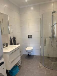 La salle de bains est pourvue d'une douche, de toilettes et d'un lavabo. dans l'établissement Gröna Huset, à Torsby
