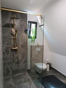 łazienka z prysznicem i toaletą w obiekcie Stone Chalets LUNA w mieście Jajce