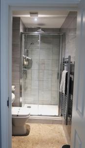 a bathroom with a shower and a toilet at Stylish Margate apartment in Margate