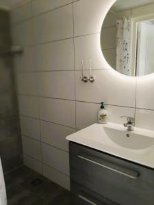 a bathroom with a sink and a mirror at Grutsk op 12 in Drachten