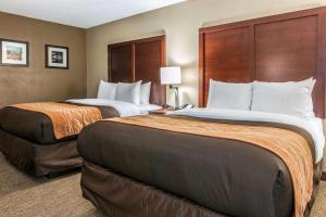 two beds in a hotel room with two at Comfort Inn Blue Ash North in Blue Ash +44 photos