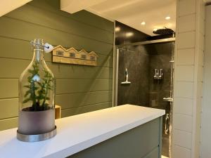 un bagno con una bottiglia di vetro e una pianta su un bancone di Le repos du Wayai a Theux