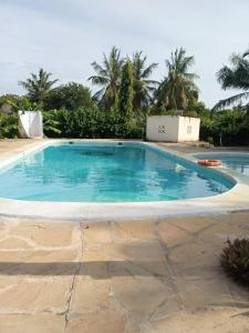 a swimming pool in a resort with palm trees at Alooma Studio homes in Galu