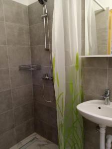 uma casa de banho com uma cortina de chuveiro e um lavatório em Apartment Maja em Zadar