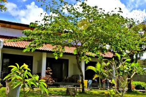 una casa con un albero di fronte di Barrel Homestay Areguling a Kuta Lombok
