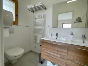 uma casa de banho com um WC, um lavatório e um espelho. em Perle de vue em Glaine-Montaigut