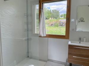 uma casa de banho com um chuveiro, um lavatório e uma janela em Perle de vue em Glaine-Montaigut