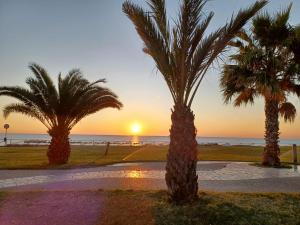 two palm trees on the beach at sunset at Appartamento Felicia in San Benedetto del Tronto