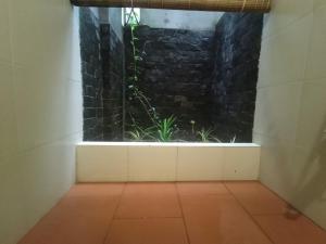 una habitación vacía con una planta en un acuario en GREENSPACE RESORT PHUQUOC en Phu Quoc