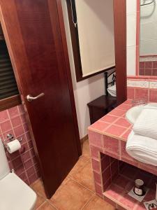 a bathroom with a toilet and a sink at HOSTAL TREVELEZ in El Ejido