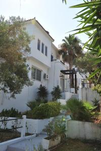 Zahrada ubytování Anamar Skiathos Hotel