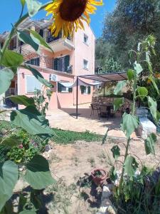 A garden outside Marianna's room