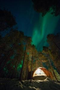 Příroda nedaleko luxury tent