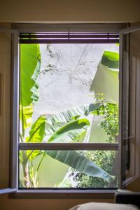 una ventana con vistas a una planta verde en Tranquility Downtown Athens, en Atenas