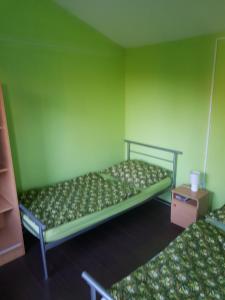 Napraforgó Apartmanok في بالاتونفوزفو: سريرين في غرفة بجدران خضراء