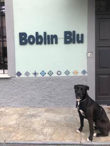 B&b Boblin blu kisállat-vendégei
