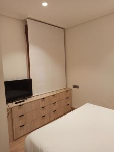 Zimmer mit einem Bett und einem Flachbild-TV in der Unterkunft Apartamentos ARVA París in León