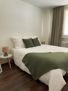 布拉提斯拉瓦的住宿－Spacious apartment near the city centre，一间卧室配有一张带白色和绿色床单的大床
