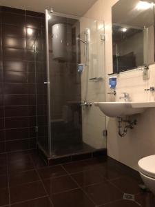 La salle de bains est pourvue d'une douche, d'un lavabo et de toilettes. dans l'établissement ALTITUDE GARDEN & MOUNTAIN APARTMENTS at GONDOLA BANSKO, à Bansko