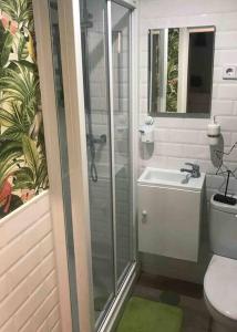 ein Bad mit einer Dusche, einem WC und einem Waschbecken in der Unterkunft Nice and calm apartment Atocha, Madrid LAC4 in Madrid