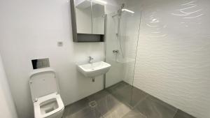 a bathroom with a toilet and a sink and a shower at Lori`s Place in Piteşti +21 photos