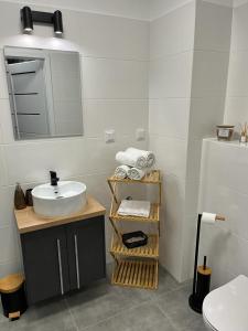 a bathroom with a sink and a mirror at N&S Apartament na Lisiej in Zielona Góra