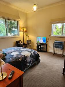 1 dormitorio con 1 cama y TV de pantalla plana en Ashmore Park en Armidale