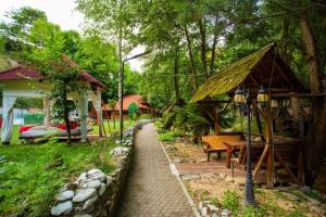 Zahrada ubytování Complex Țurcana Transalpina