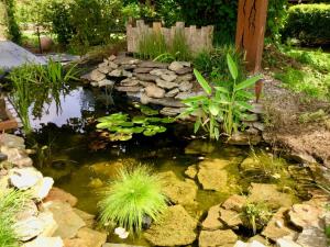 un giardino con un laghetto con piante e una recinzione di Chambre d'hôte Saint-Symphorien Mons a Mons