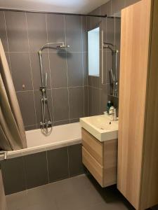 a bathroom with a shower and a sink at Le Petit Parc in Wavre