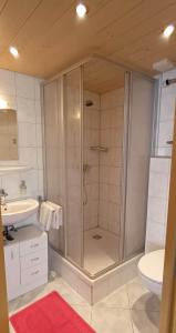 a bathroom with a shower and a sink at Gästehaus Bliem in Ainring