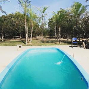 a blue swimming pool with a chair and palm trees at pousada camping do josias in Nobres