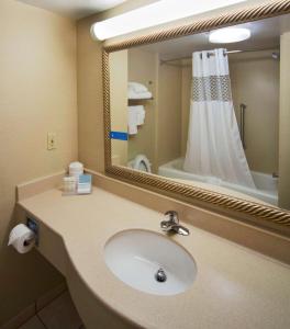 a bathroom with a sink and a mirror at Hampton Inn & Suites Valdosta/Conference Center in Valdosta