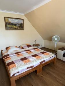 1 dormitorio con 1 cama grande en una habitación en Apartament Tujka Żywiec, en Żywiec