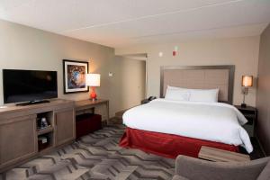 ein Hotelzimmer mit einem Bett und einem Flachbild-TV in der Unterkunft Hampton Inn & Suites by Hilton Thunder Bay in Thunder Bay