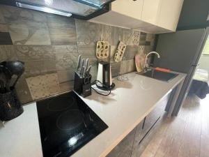 a kitchen with a sink and a counter top at Royal Plaza Apartment -10A in Tbilisi City