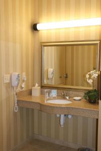 a bathroom with a sink and a mirror at Hampton Inn & Suites Chicago/Saint Charles in Saint Charles