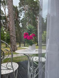 Zahrada ubytování Kulautuva Park Apartments