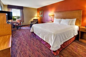 a hotel room with a bed and a desk at Hampton Inn Twin Falls in Twin Falls