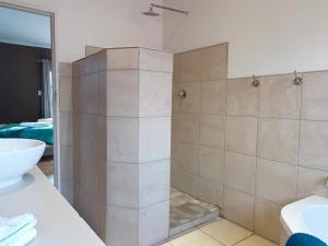 a bathroom with a shower stall and a sink at 21 On Coetzee Guest House in Bloemfontein