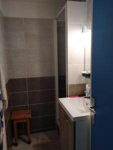 uma pequena casa de banho com um lavatório e um chuveiro em studio avec vue sur océan em La Pironnière