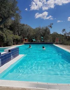 2 persone che nuotano in una piscina blu di Olive Tree Suites Farmstay Villa a Lamporecchio