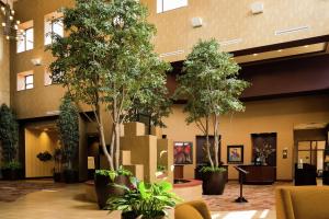 a lobby with trees and plants in a building at Embassy Suites by Hilton Minneapolis North in Brooklyn Center