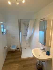 een badkamer met een douche, een wastafel en een toilet bij Villa Pewsum in Krummhörn