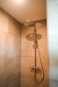 a shower with a shower head in a bathroom at Klosterblick - Inzigkofen (FeWo mit Naturteich) in Inzigkofen