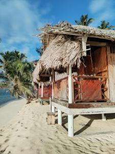 a hut on a beach with palm trees and the ocean at D-Gunayar Experience in Cabins classic in Arritupo Número Dos