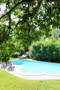 einen Pool in einem Garten mit Bäumen in der Unterkunft Casa da Eira in Marco de Canavezes