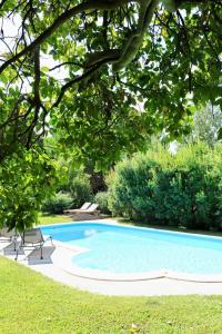 a swimming pool in a yard with trees at Casa da Eira in Marco de Canaveses +41 photos